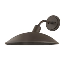 Otis 16" Wide Outdoor Wall Sconce