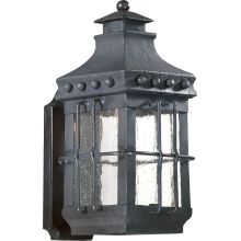 Dover 1 Light Outdoor Wall Sconce with Seedy Glass