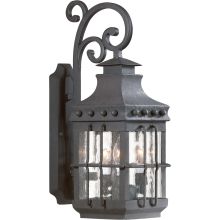 Dover 23" Tall 3 Light Outdoor Wall Sconce with Seedy Glass