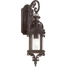 Pamplona 1 Light 19" Outdoor Wall Sconce with Seedy Glass