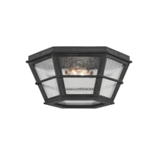 Lake County 2 Light 14" Wide Outdoor Flush Mount Bowl Ceiling Fixture