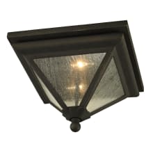 Geneva 2 Light 14" Wide Outdoor Flush Mount Ceiling Fixture with Seedy Glass Pyramid Shade