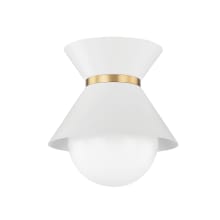 Scout 10" Wide Flush Mount Ceiling Fixture