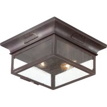 Newton 2 Light Flush Mount Outdoor Ceiling Fixture with Seedy Glass