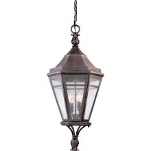 Morgan Hill 4 Light Outdoor Lantern Pendant with Seedy Glass