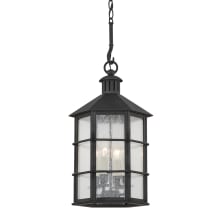 Lake County 4 Light 12" Wide Outdoor Pendant