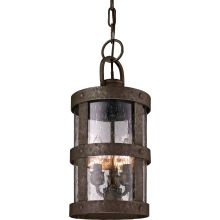 Barbosa 3 Light Outdoor Lantern Pendant