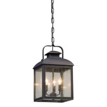 Chamberlain 3 Light 10" Wide Outdoor Pendant with Seeded Glass Shade