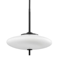 Fallon 2 Light 13" Wide Pendant