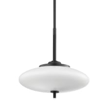 Fallon 2 Light 18" Wide Pendant