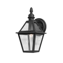 Townsend 13" Tall Single Light Outdoor Wall Sconce