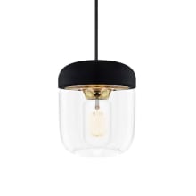 Acorn 5.5" Wide Single Light LED Pendant