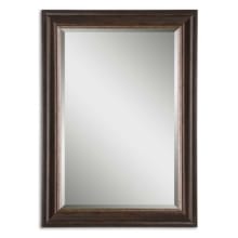Fayette Set of (2) 36" x 26" Framed Bathroom Mirror