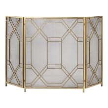 Rosen 34 Inch x 53 Inch Metal Fireplace Screen