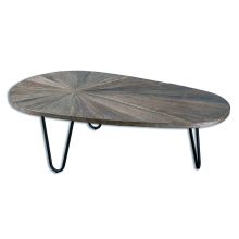 Leveni 16" x 51" Recycled Elm Wood Coffee Table
