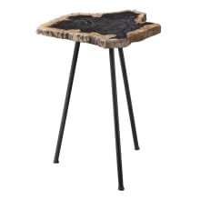 Mircea 16" Wide Cross Section Petrified Wood Accent Table by Matthew Williams