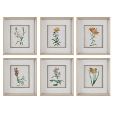 19" x 17" "Classic Botanicals" Framed Abstract Digital Print on Canvas - Set of 6