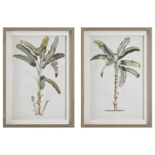 Banana Palm 35" x 35" Framed Botanical Paintings - Set of 2