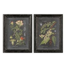 uttermost botanicals midnight prints