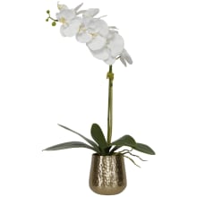 Cami 14"W Artificial Orchid With Hammered Brass Pot