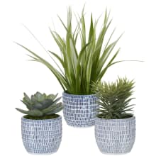Puebla Set of (3) Greenery Succulent and Spider Plants In Pots