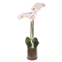 Blush Orchid 34", Artificial Plant Glass Pot