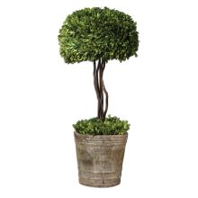 Preserved Boxwood Tree Topiary Faux Greenery Plant