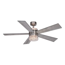 Ashford 52" 5 Blade LED Indoor Ceiling Fan with Seedy Glass Shade