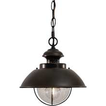Harwich 1 Light Outdoor Pendant