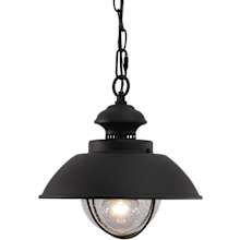 Harwich 1 Light Outdoor Pendant