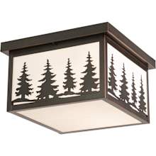 Yosemite 2 Light Flush Mount Outdoor Ceiling Fixture with White Frosted Glass Shade - 11.5 Inches Wide