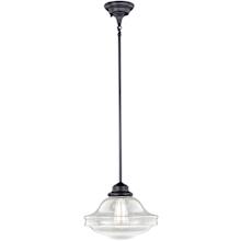 Huntley Single Light 12" Wide Pendant with A Glass Shade