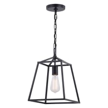 Hayes Single Light 10" Wide Pendant