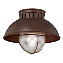 Harwich 1 Light Flush Mount Outdoor Ceiling Fixture with Clear Seeded Glass and Metal Shade - 10 Inches Wide