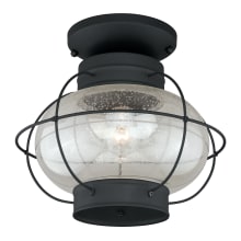 Chatham 1 Light Semi-Flush Mount Outdoor Ceiling Fixture with Clear Seeded Glass Shade and Metal Guard - 13 Inches Wide