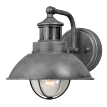 Harwich Single Light 9" High Outdoor Wall Sconce