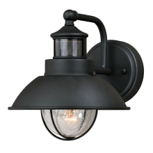 Harwich Single Light 9" High Outdoor Wall Sconce