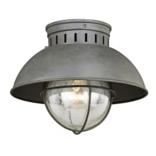 Harwich 1 Light Flush Mount Outdoor Ceiling Fixture with Clear Seeded Glass and Metal Shade - 10 Inches Wide