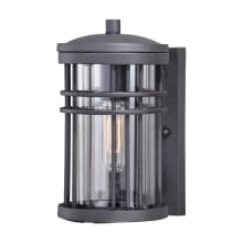 Wrightwood Single Light 10-3/4" High Outdoor Wall Sconce
