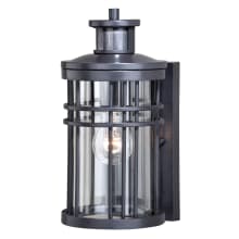 Wrightwood Single Light 12" Tall Outdoor Wall Sconce