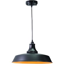 Dorado Single Light 15" Wide Outdoor Pendant