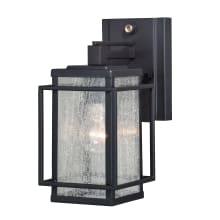 Hyde Park Single Light 11" Tall Outdoor Wall Sconce with Glass Panel Shades