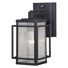 Hyde Park Single Light 11" Tall Outdoor Wall Sconce with Glass Panel Shades