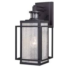 Hyde Park Single Light 16" Tall Outdoor Wall Sconce with Glass Panel Shades