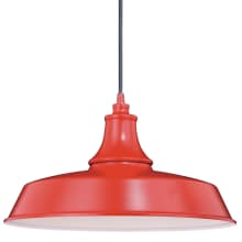 Dorado Single Light 15" Wide Outdoor Pendant