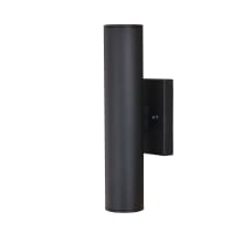 Chiasso 2 Light 14" Tall LED Outdoor Wall Sconce