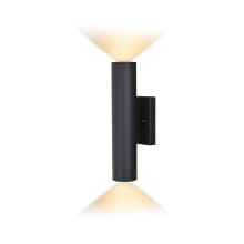 Chiasso 2 Light 14" Tall LED Outdoor Wall Sconce
