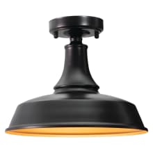 Dorado Single Light 12" Wide Semi-Flush Dome Ceiling Fixture