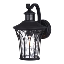Abigail 12" Tall Outdoor Wall Sconce