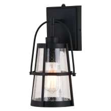 Portage Park 13" Tall Outdoor Wall Sconce with Seedy Glass Shade